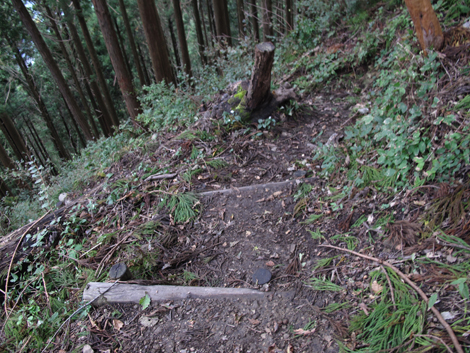 20181016hike (222)
